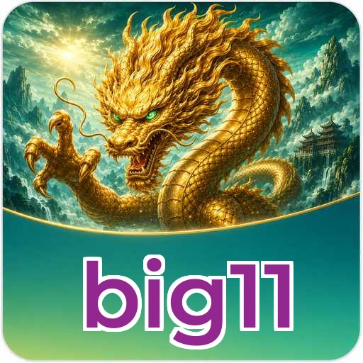 big11 Technical Info
